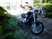 /album/fotogaleria-inicio/fiesta-iguanas-20-5-2011-010-jpg/